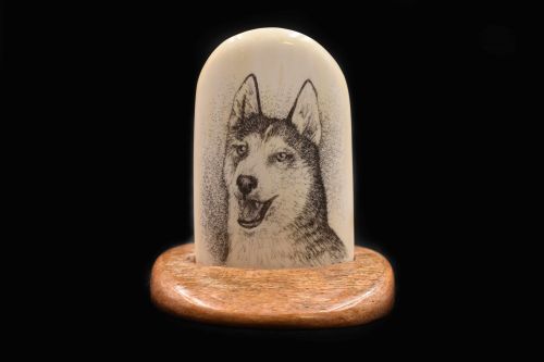 HUSKY SCRIMSHAW